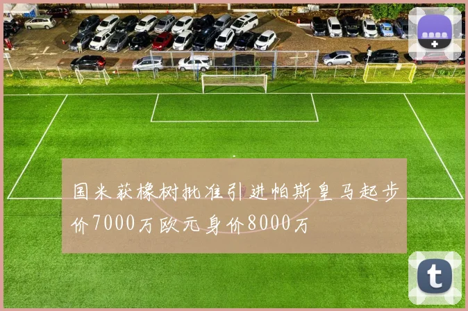 国米获橡树批准引进帕斯皇马起步价7000万欧元身价8000万